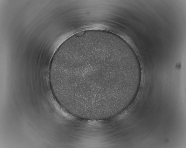 X0000112380850200909101344