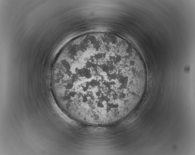 X0000112380851200909101344