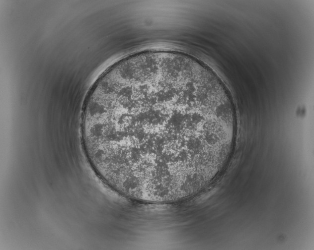 X0000112380853200909101344