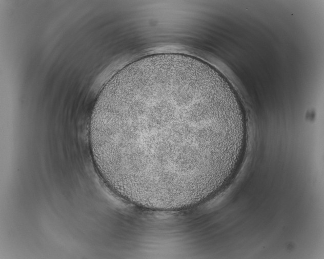 X0000112380857200909101344