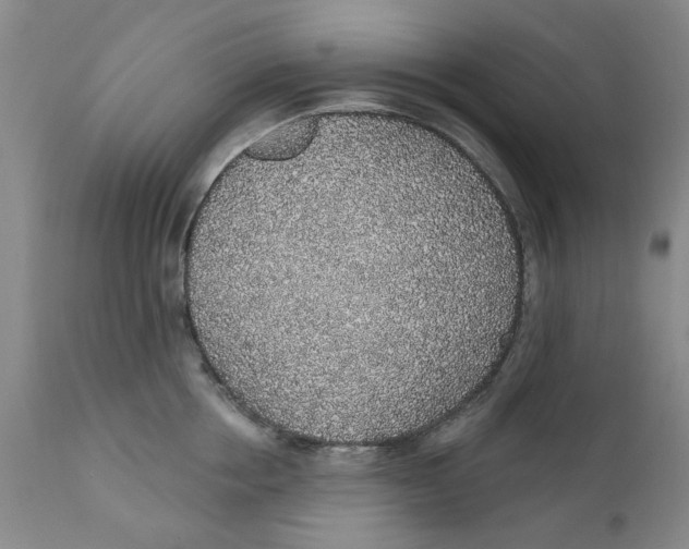 X0000112380858200909101345