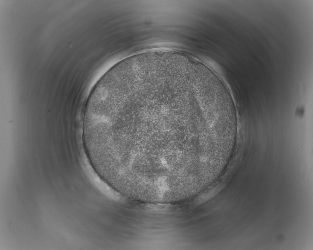 X0000112380859200909101345