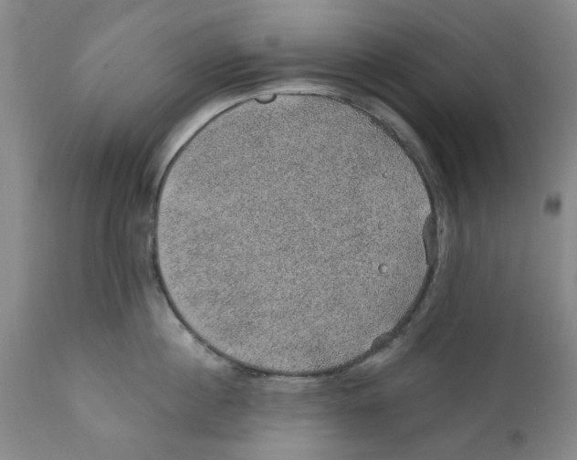 X0000112380860200909101345