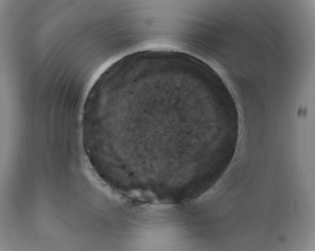 X0000112380864200909101345