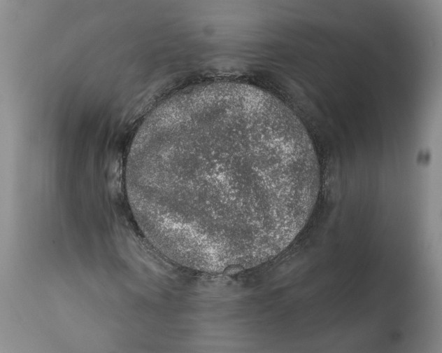 X0000112380866200909101344