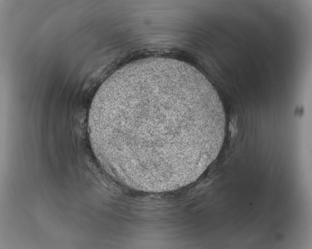 X0000112380867200909101344