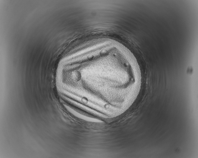 X0000112380868200909101344