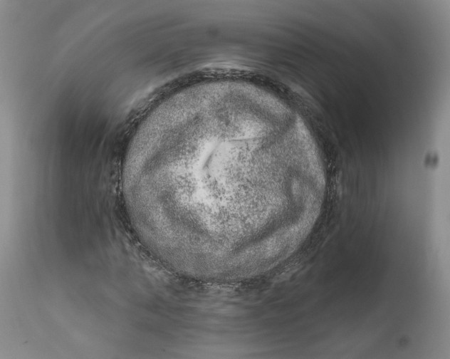 X0000112380870200909101344