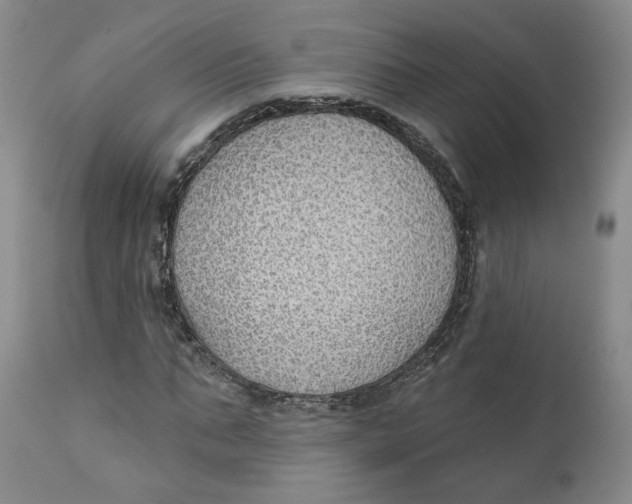 X0000112380871200909101344