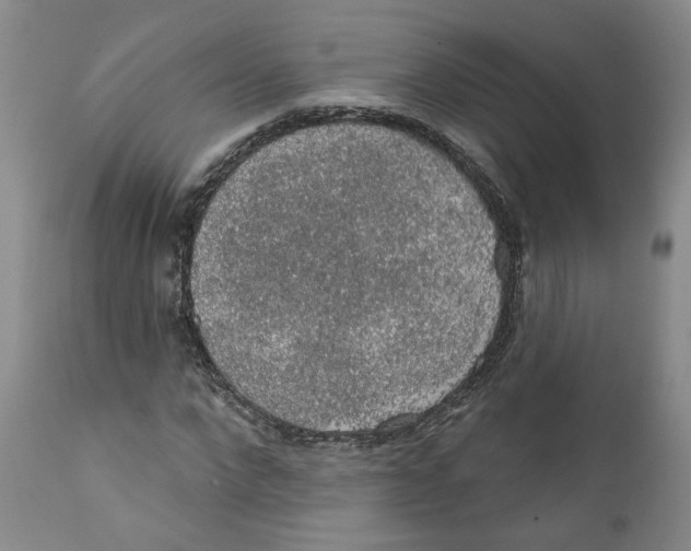 X0000112380872200909101344