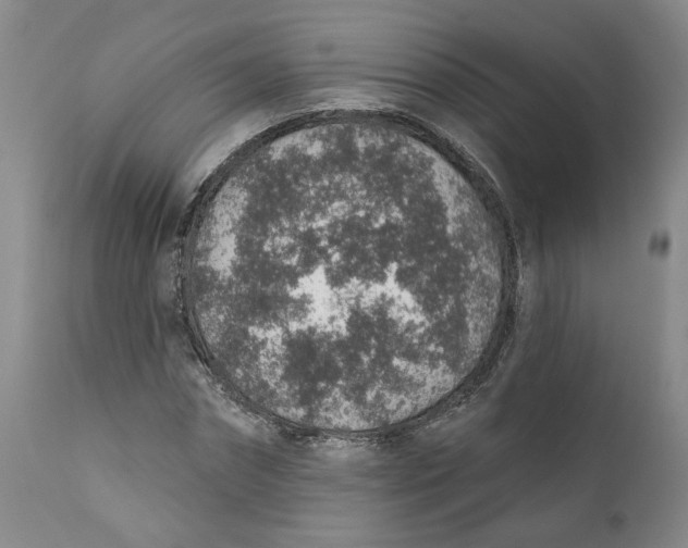 X0000112380874200909101343