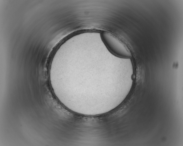 X0000112380876200909101343