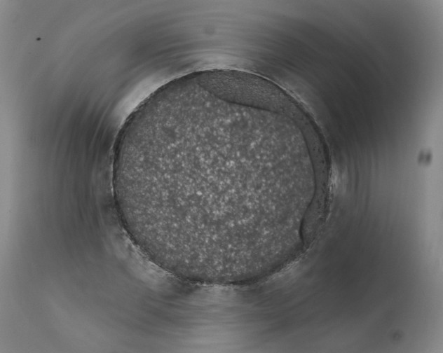 X0000112380877200909101343