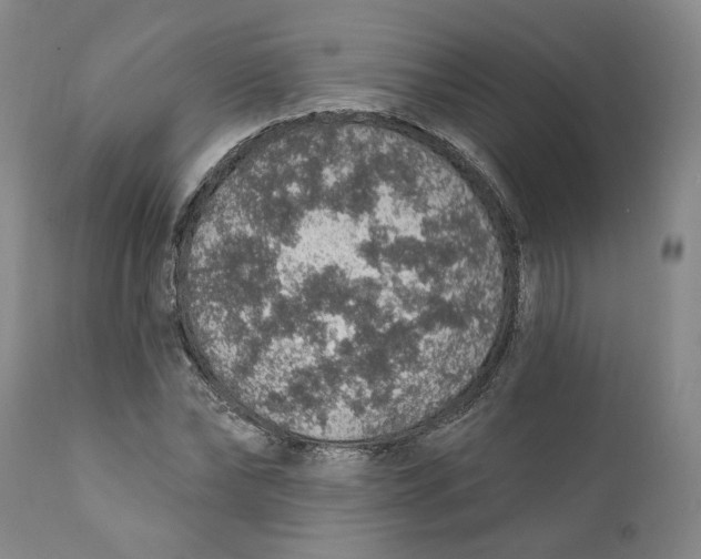 X0000112380878200909101343