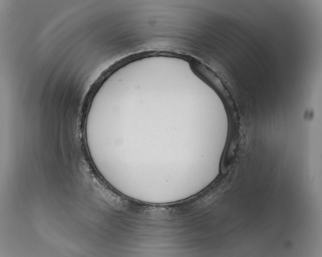 X0000112380880200909101343