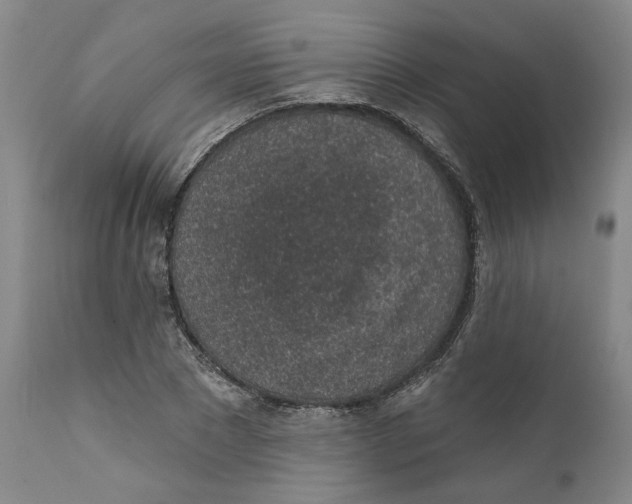 X0000112380881200909101343