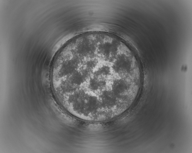 X0000112380882200909101343