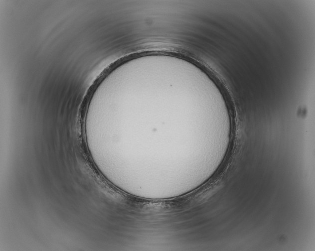 X0000112380883200909101343