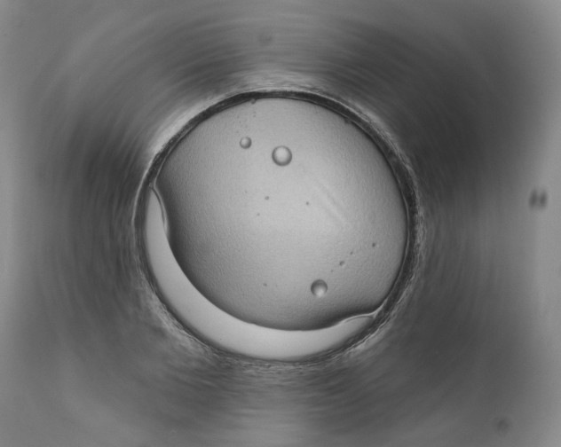 X0000112380885200909101343