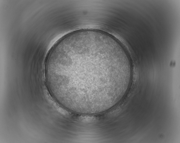 X0000112380886200909101343