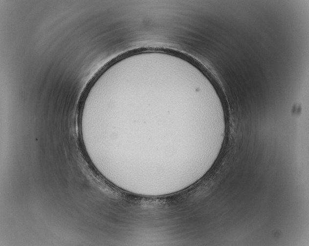 X0000112380887200909101343