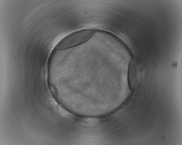 X0000112380888200909101343