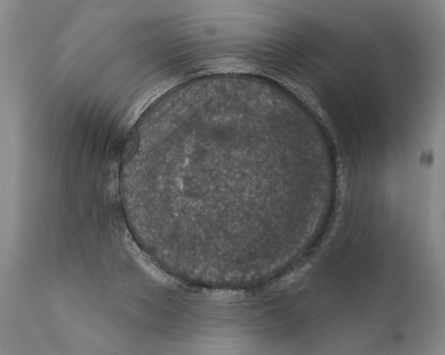 X0000112380889200909101343