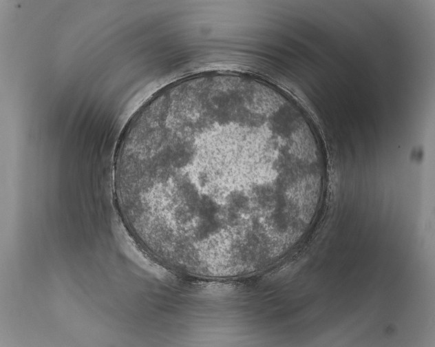 X0000112380890200909101343