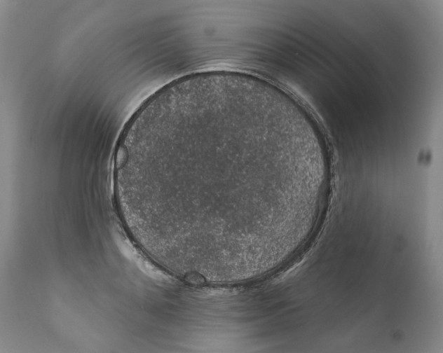 X0000112380892200909101343