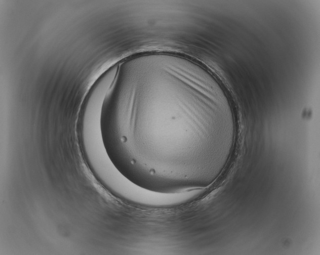 X0000112380893200909101343