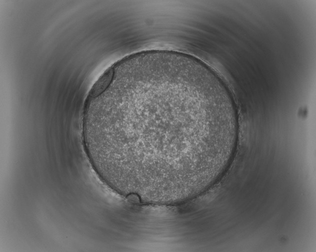 X0000112380896200909101343