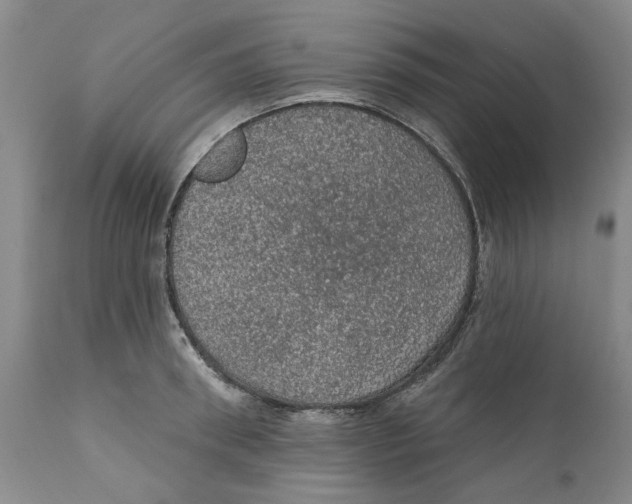 X0000112380898200909101343