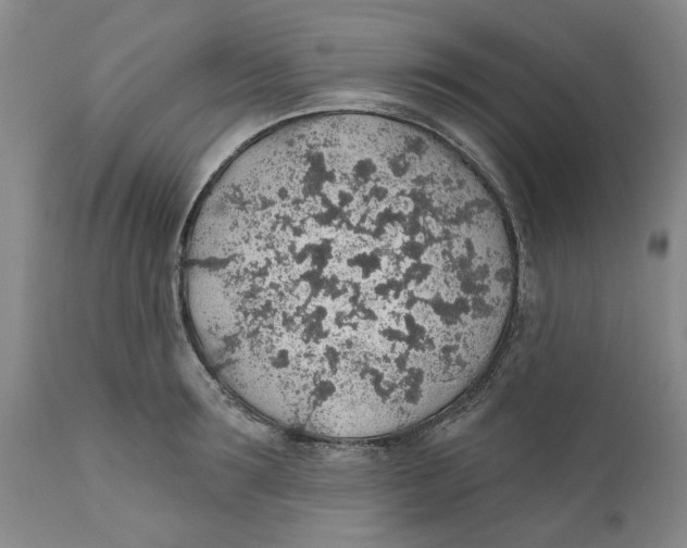 X0000112380899200909101343