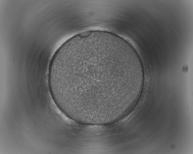 X0000112380902200909101343