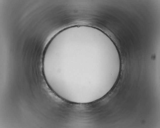 X0000112380904200909101343