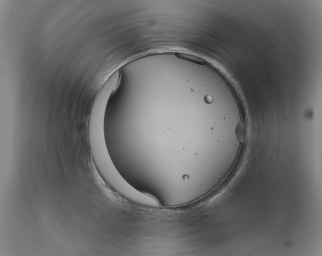 X0000112380905200909101343