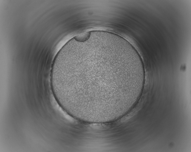 X0000112380906200909101343