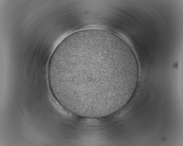 X0000112380907200909101343