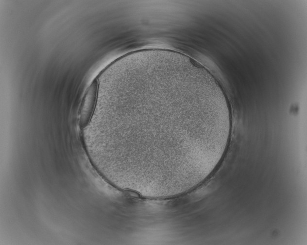 X0000112380908200909101343