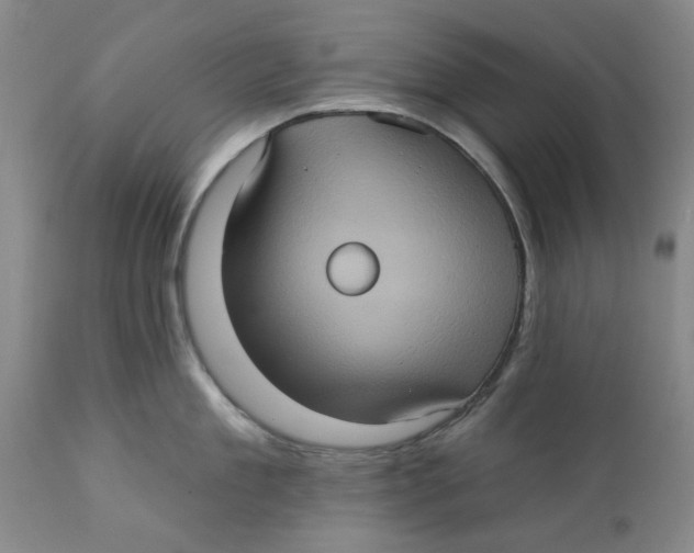 X0000112380909200909101343