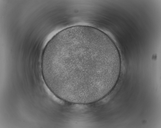 X0000112380910200909101343