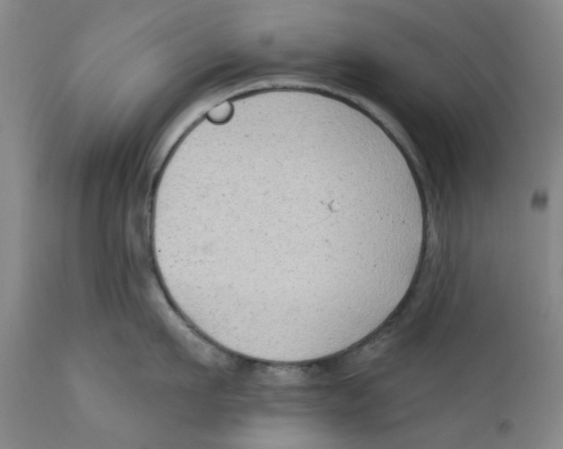 X0000112380911200909101343