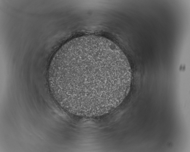 X0000112380913200909101342