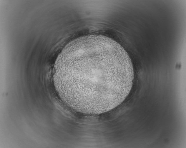 X0000112380914200909101342