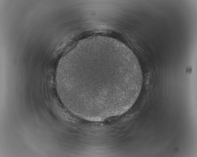 X0000112380916200909101342