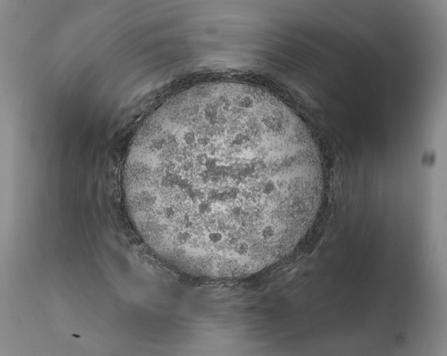 X0000112380917200909101342