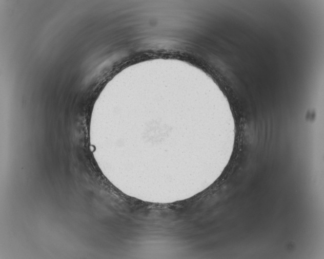 X0000112380918200909101342