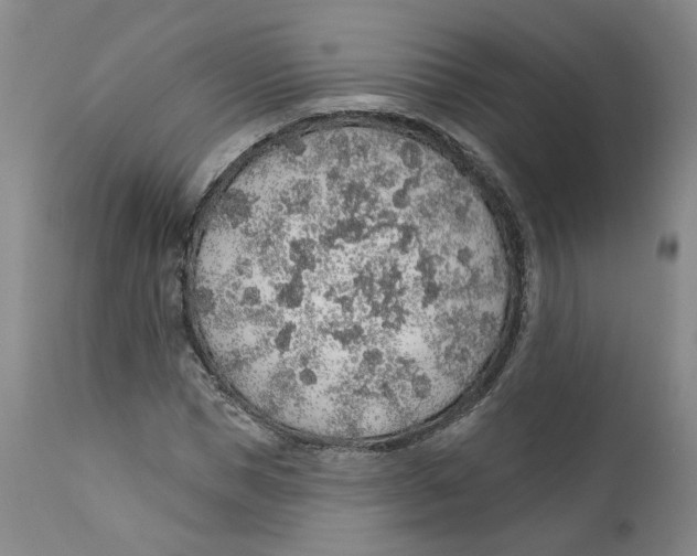 X0000112380921200909101342