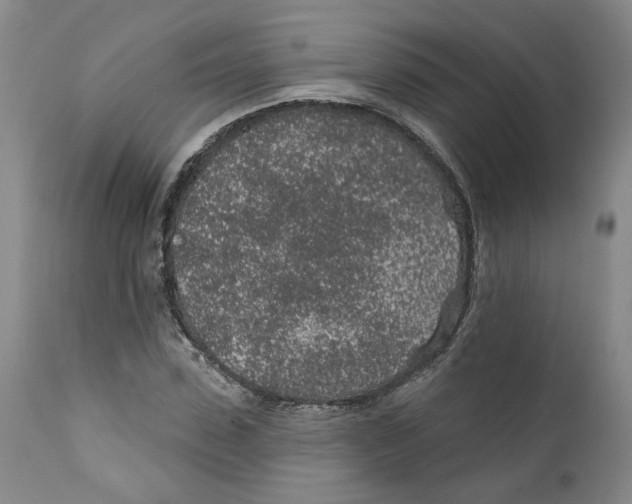 X0000112380923200909101342