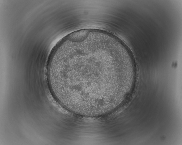 X0000112380928200909101342